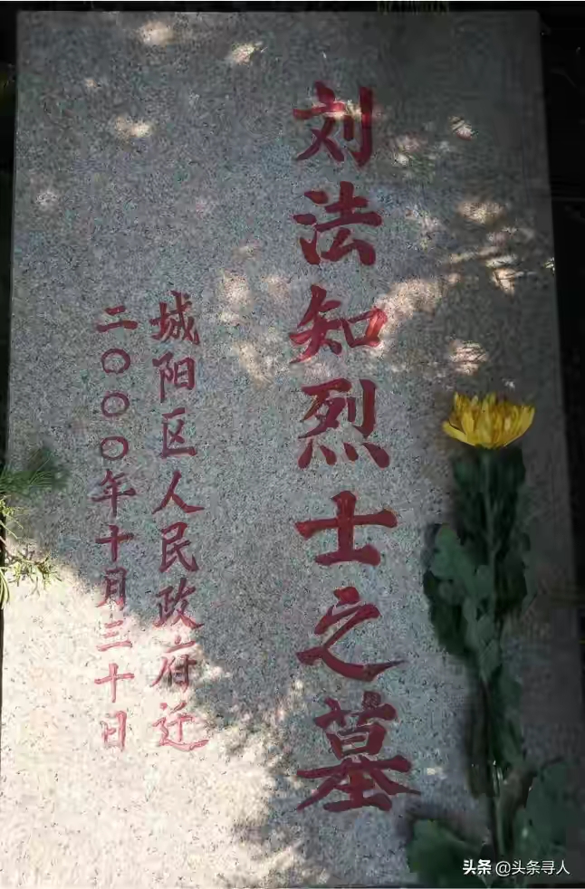 1d12de13d68751229c6d7337d4da3d0d.jpg