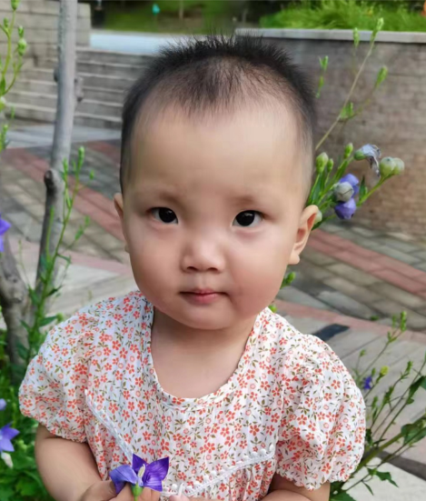 赵梓语找家2111121023.png