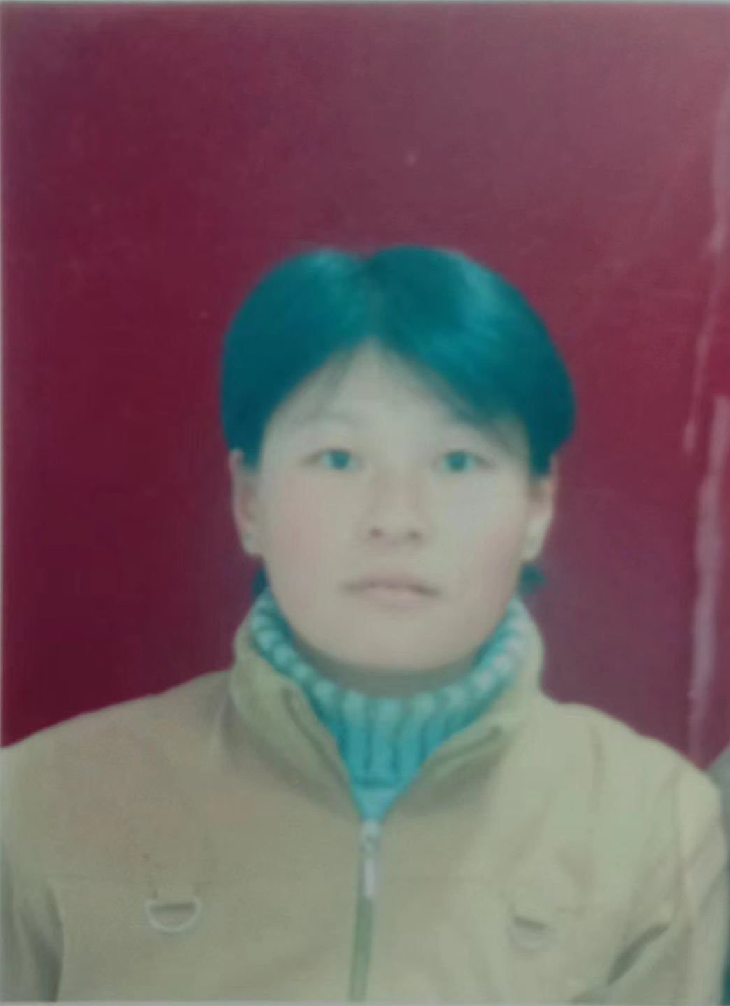 抱养高霞找家2403091947-1.png