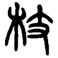 8枝.png